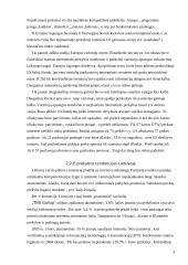 E-prekyba 3 puslapis