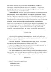 E-prekyba 7 puslapis