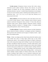 Ekologinė gyvulininkystė 11 puslapis