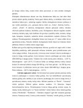 Ekologinė gyvulininkystė 3 puslapis