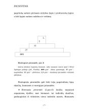 Ekosistemos apibūdinimas 16 puslapis