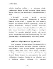 Ekosistemos apibūdinimas 18 puslapis