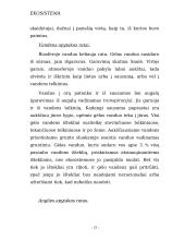 Ekosistemos apibūdinimas 20 puslapis