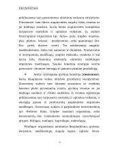 Ekosistemos apibūdinimas 5 puslapis