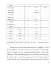 Miško želdinių priežiūra 6 puslapis