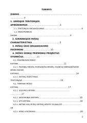 Miškotvarka projektas 2 puslapis