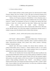 Mobiliojo ryšio operatorių konkurencinis palyginimas: "Bitė gsm", "Omnitel" ir "Tele2" 5 puslapis