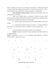 Grafų izomorfizmo skaičiavimas 5 puslapis