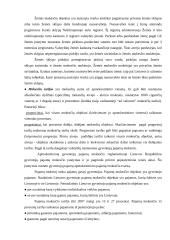 Mokesčiai, mokesčių funkcijos ir savybės 16 puslapis