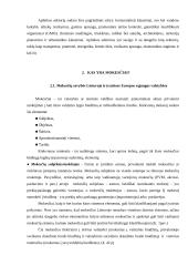 Mokesčiai, mokesčių funkcijos ir savybės 7 puslapis