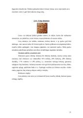 Grūdai ir miltai. Jų produktai 20 puslapis