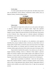 Grūdai ir miltai. Jų produktai 6 puslapis