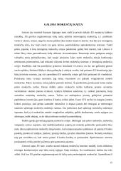 Mokesčių kaita integruojantis į Europos Sąjungą (ES) 15 puslapis