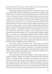 Mokesčių kaita integruojantis į Europos Sąjungą (ES) 19 puslapis