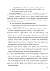 Mokesčių sistema Lietuvoje, mokesčių rūšys, funkcijos bei principai 14 puslapis