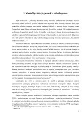 Mokesčių sistema Lietuvoje, mokesčių rūšys, funkcijos bei principai 4 puslapis