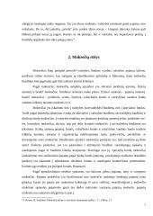 Mokesčių sistema Lietuvoje, mokesčių rūšys, funkcijos bei principai 6 puslapis