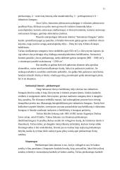 Hominidų evoliucija 11 puslapis