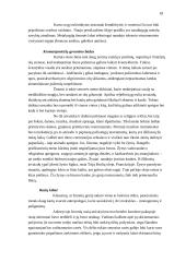 Hominidų evoliucija 18 puslapis