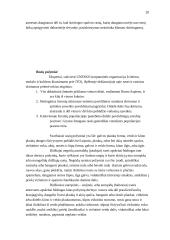 Hominidų evoliucija 20 puslapis