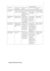 Hominidų evoliucija 3 puslapis