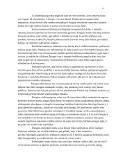 Hominidų evoliucija 4 puslapis