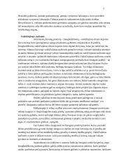 Hominidų evoliucija 5 puslapis