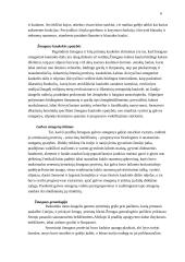 Hominidų evoliucija 6 puslapis