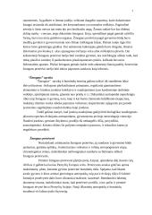 Hominidų evoliucija 7 puslapis