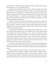Mokesčių sistemos susiformavimas išsivysčiusiose šalyse 12 puslapis