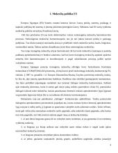Mokesčių sistemos susiformavimas išsivysčiusiose šalyse 4 puslapis