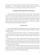 Mokesčių sistemos susiformavimas išsivysčiusiose šalyse 8 puslapis