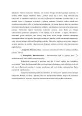 I. Kanto iškeltas maksimas ir kategorinis imperatyvas 3 puslapis