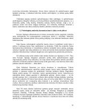 Mokesčių vaidmuo rinkos ekonomikoje 16 puslapis