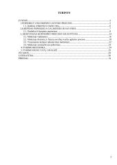 Mokytojas kūrybingos asmenybės menų kūrėjas, panaudojant krepinio popieriaus galimybes 2 puslapis