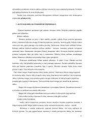 Mokytojas kūrybingos asmenybės menų kūrėjas, panaudojant krepinio popieriaus galimybes 11 puslapis