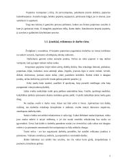 Mokytojas kūrybingos asmenybės menų kūrėjas, panaudojant krepinio popieriaus galimybes 5 puslapis