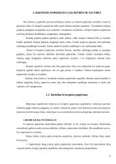 Mokytojas kūrybingos asmenybės menų kūrėjas, panaudojant krepinio popieriaus galimybes 6 puslapis