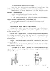 Mokytojas kūrybingos asmenybės menų kūrėjas, panaudojant krepinio popieriaus galimybes 7 puslapis