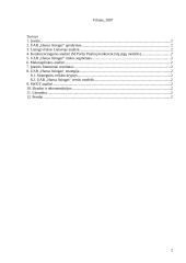 Įmonės strateginis auditas: UAB "Hansa Lizingas" 2 puslapis