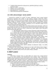 Įmonės strateginis auditas: UAB "Hansa Lizingas" 11 puslapis
