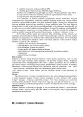 Įmonės strateginis auditas: UAB "Hansa Lizingas" 12 puslapis