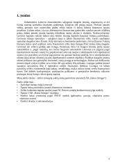 Įmonės strateginis auditas: UAB "Hansa Lizingas" 3 puslapis