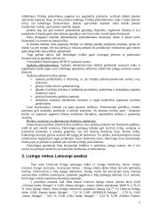 Įmonės strateginis auditas: UAB "Hansa Lizingas" 5 puslapis
