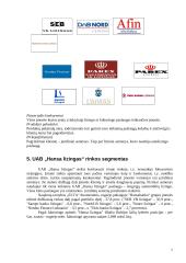 Įmonės strateginis auditas: UAB "Hansa Lizingas" 7 puslapis