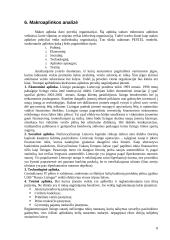 Įmonės strateginis auditas: UAB "Hansa Lizingas" 8 puslapis