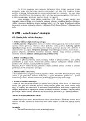 Įmonės strateginis auditas: UAB "Hansa Lizingas" 10 puslapis