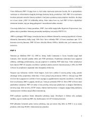 Informacijos pateikimas Internete technologijos 5 puslapis