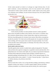 Moksleivių mityba Lietuvos mokyklose 12 puslapis