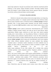 Moksleivių mityba Lietuvos mokyklose 4 puslapis